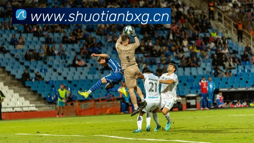 多媒体互动体验